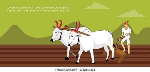 Farmer plouging the field with two cattle