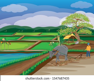 farmer plow in paddy field vector design