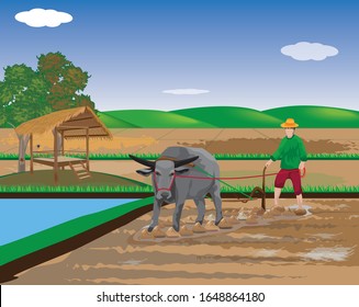 farmer plow in paddy field vector design