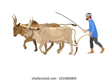 Farmer plowing field with a couple of zebu. Vector illustration isolated on the white background