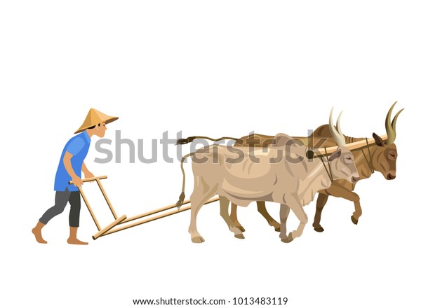 Farmer Plowing Field Couple Zebu Vector Stock Vector (Royalty Free ...