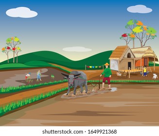 farmer plowing in paddy field vector design,lifestyle of villager at countryside