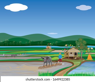 farmer plowing in paddy field vector design,lifestyle of villager at countryside