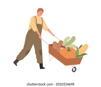 Farmer pushing wood wheelbarrow with autumn harvest. Farm worker going with garden cart with organic local vegetables. Man and pushcart. Colored flat vector illustration isolated on white background