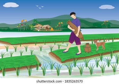 farmer put bamboo fish trap in paddy field vector design