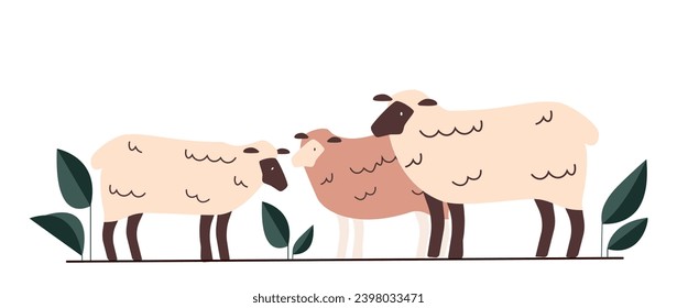 Farmer sheep concept. Fluffy white domestic animal. Production of clothing materials. Cattle with wool. Graphic element for website. Cartoon flat vector illustration isolated on white background