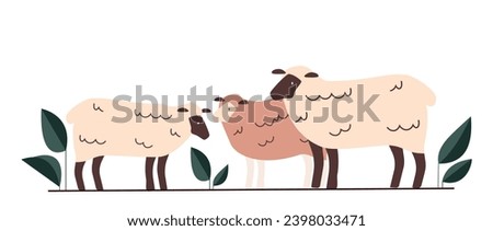 Farmer sheep concept. Fluffy white domestic animal. Production of clothing materials. Cattle with wool. Graphic element for website. Cartoon flat vector illustration isolated on white background