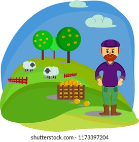 farmer, sheeps, harvest