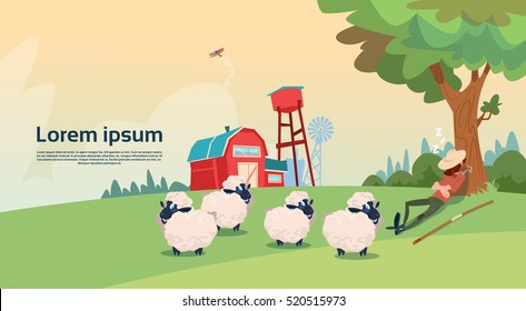 Farmer Shepherd Breeding Sheep Wool Farm Flat Vector Illustration