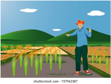 farmer show like hand in paddy field vector design