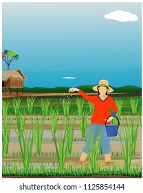 farmer sow fertilizer in paddy field vector design