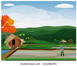 farmer sow rice in paddy field vector design