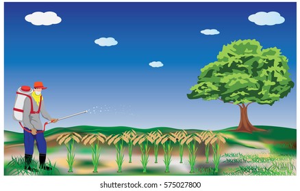 farmer spray rice plant vector design
