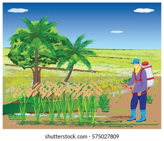 farmer spray rice plant vector design