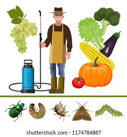 Farmer with sprayer and garden pests - butterfly, caterpillar, beetle, larva. Vector illustration isolated on white background