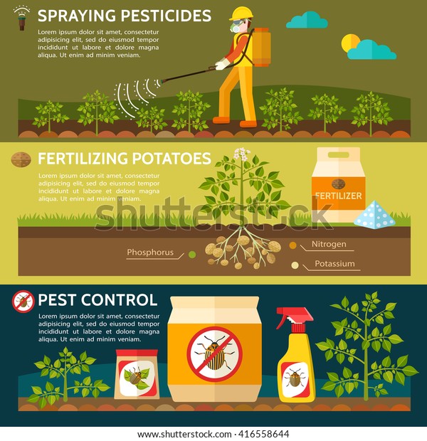 農夫がジャガイモ畑に殺虫剤を散布している ジャガイモを肥やす コロラドポテトビートル 害虫駆除 ベクターイラスト のベクター画像素材 ロイヤリティフリー