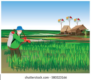 farmer sprays rice plant vector design