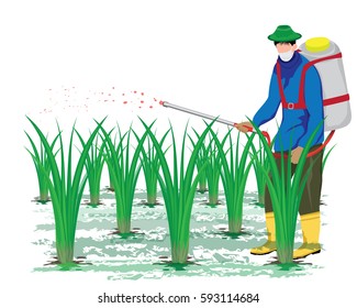 farmer sprays rice plant vector design