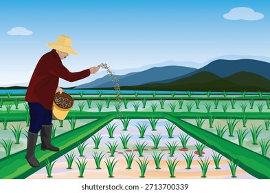 El agricultor está esparciendo fertilizante en el campo de arroz. Diseño de Vector