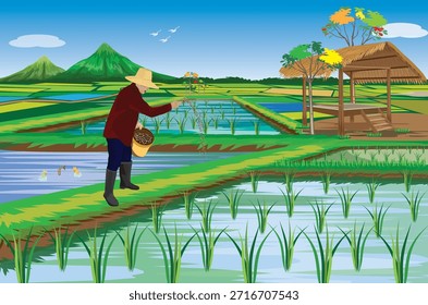 El agricultor está esparciendo fertilizante en el campo de arroz. Diseño de Vector
