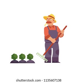 Farmer in straw hat with rake cares for cabbage or broccoli - cute male farm character doing agricultural work for eco-friendly and organic food concept in isolated flat vector illustration.