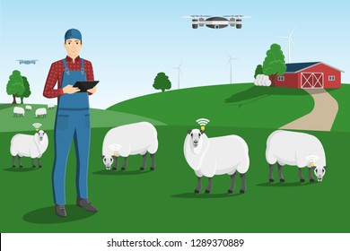 A farmer with a tablet computer and drone is grazing a herd of sheep on a smart farm. Vector illustration