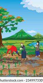 farmer transplant rice seeding in paddy field vector design