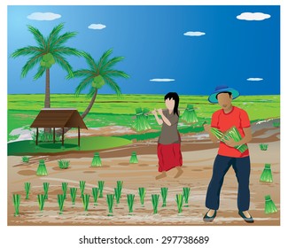 farmer transplant rice seeding in paddy field vector design