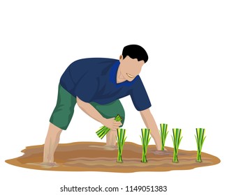 farmer transplant rice seeding shape vector design