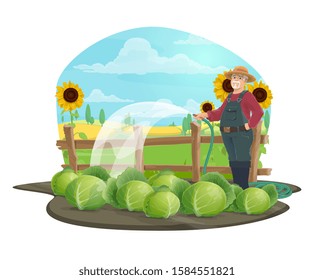 Farmer watering cabbage vegetables with watering hose vector design of agriculture and farming. Gardener working in farm garden with hat, boots and overalls, fields with crop plants and sunflowers