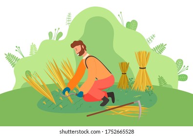 Farmer wearing in overalls harvesting ears of wheat on the field. Agricultural worker, autumn harvest. A man mower with a scythe cuts grain crop and binds in sheaf. Ecological farming and manual labor