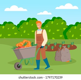 Farmer wearing in overalls and rubber boots pushing a wheelbarrow full of vegetables. Agricultural worker, autumn harvest. Man going with vegetables in cart, harvesting tomato, pumpkin, carrot