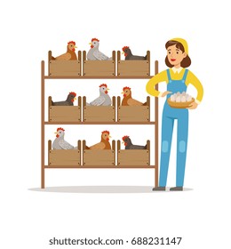 Farmer woman caring for chickens, poultry breeding vector Illustration