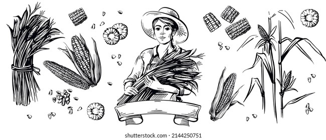 A farmer woman in a hat holds corn in her hands. Great for logo and packaging. Corn grains and cobs. Isolated headpiece. The illustration is hand drawn.