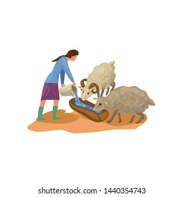 Farmer woman in rubber boots give water for sheeps