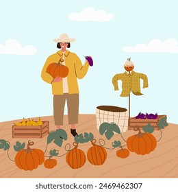 Farmer at work, agricultural worker harvesting crops. A female farmer collects a pumpkin harvest in a box. Pumpkin harvesting. Life in farm.