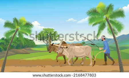 Farmer at work. with green farming area. coconut tree. cultivation land Indian farming site traditional farming style with cows. Indian village. 