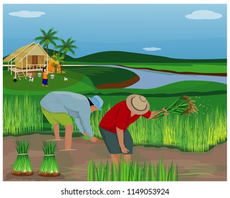farmer work in paddy field vector design
