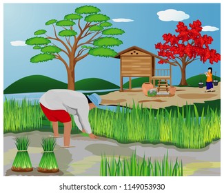 farmer work in paddy field vector design