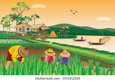 farmer work  in paddy field vector design