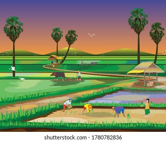 farmer work in paddy field,lifestyle of people at countryside vector design