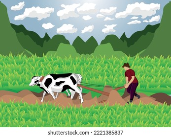 The farmer is at work plowing the fields with his cows