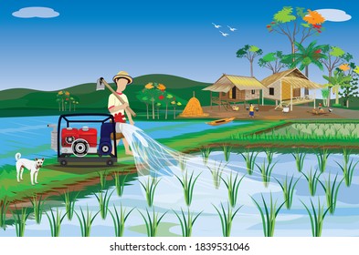 farmer work with water pump in paddy field vector design,