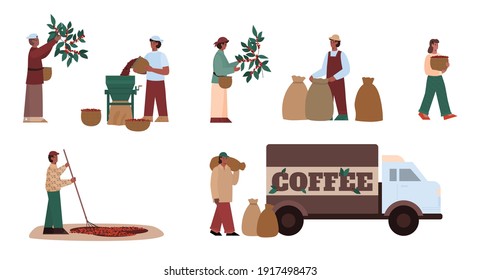 Farmer working on agriculture farm. Process and manufacturing stages coffee production - harvesting and stripping beans, natural drying and hulling, packaging. Vector illustrations