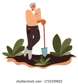 Farmer working on field, digging out ripe veggies. Man with shovel or spade at plantation in farm, male character on field. Agricultural business, growing organic vegetables vector in flat style