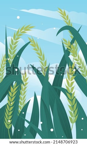 Farmer working in a wheat field in summer with wheat in the background, vector illustration