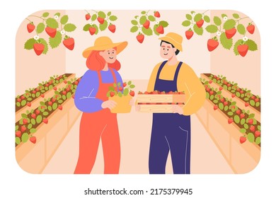 Farmers With Baskets Of Strawberries Flat Vector Illustration. Young Man And Woman Picking Berries In Greenhouse Or Strawberry Farm, Reaping Harvest. Agriculture, Growth, Ecology, Gardening Concept