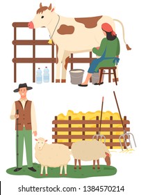 Farmers caring for animals vector, sheep and cow farm flat style. People with cattle, production of milk and organic food and ingredients, countryside