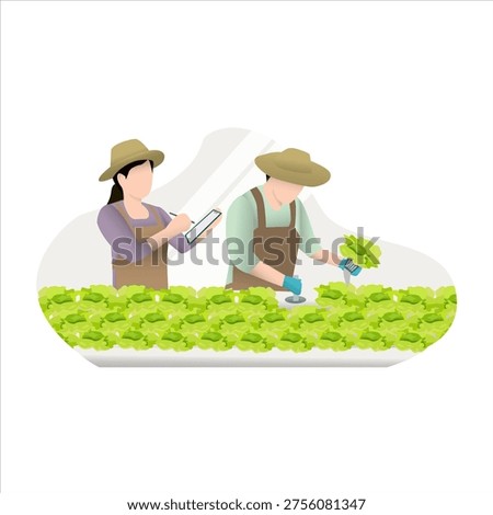 Farmers are checking the nutrient levels in hydroponic pipes illustration