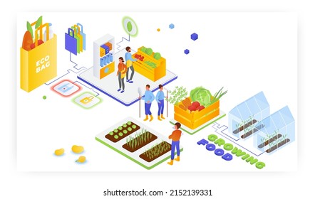 Agricultores cultivando vegetales orgánicos. La gente compra con bolsas ecológicas, ilustraciones isométricas vectoriales. Vida sana.